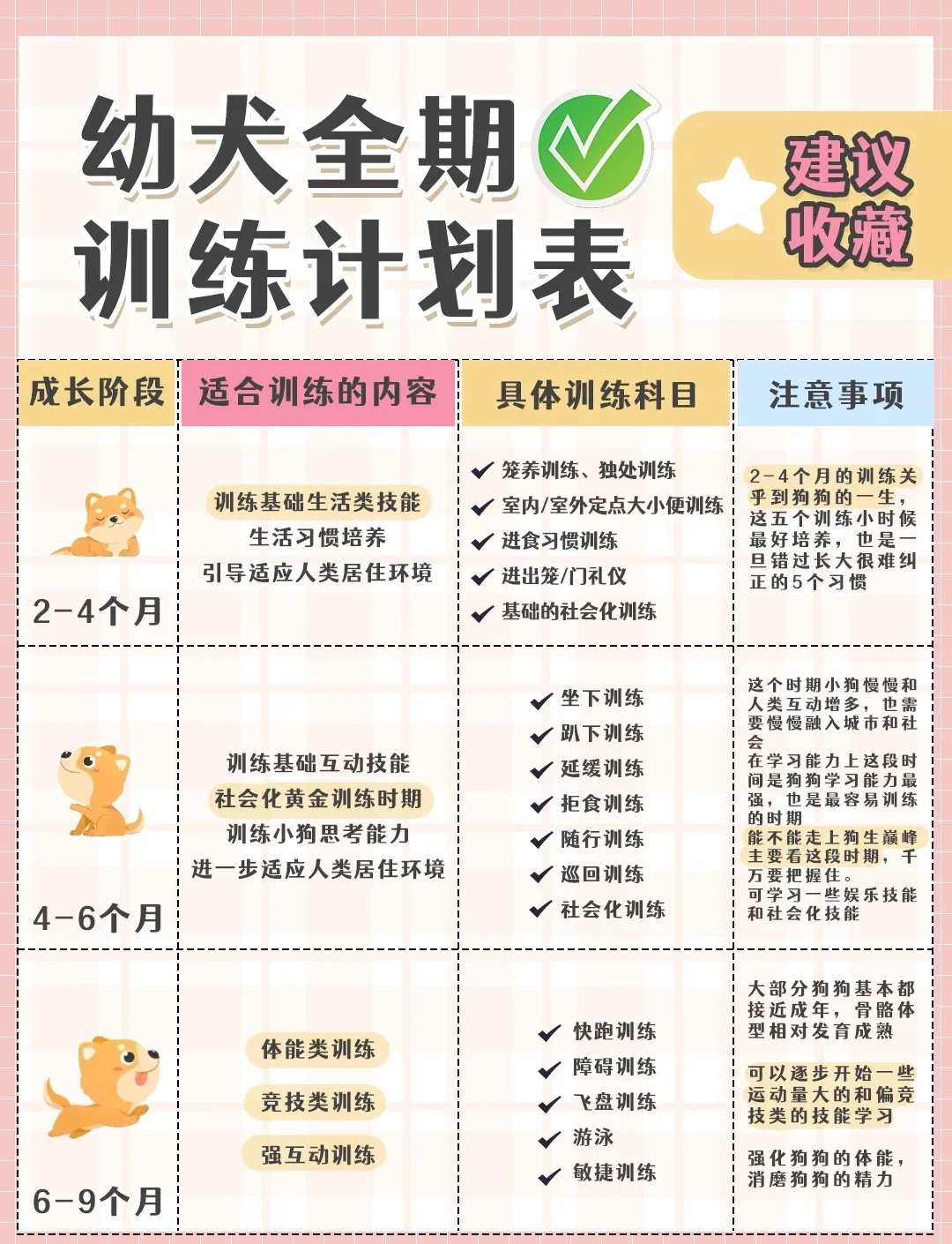 如何为篮球教练提供持续的专业辅导_1